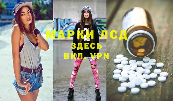 гидропоника Бородино