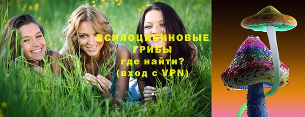 ECSTASY Бронницы