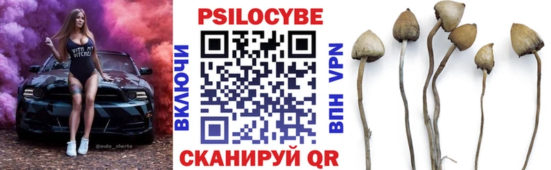 blacksprut как зайти  Новохопёрск  Галлюциногенные грибы мухоморы 